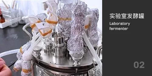 實驗室發(fā)酵罐滅菌