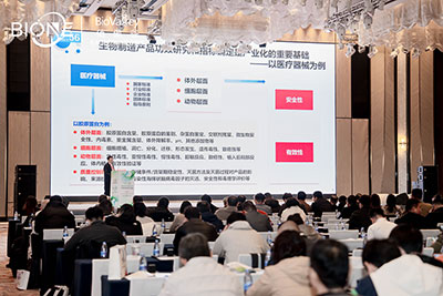 峰會(huì)會(huì)議現(xiàn)場圖2